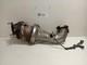 Catalyst For Land Rover Range Rover Evoque 1° Series 1827430 204dta Diesel