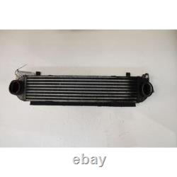 Intercooler Land Rover Discovery (09-16) 4a Serie 2.7 Tdv6 (140kw) 4wd Suv 2009