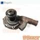 Land Rover 2250cc Series 2/3 Bz Ds Water Pump New Bugatti Pa255 530477-gwp312