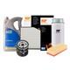 Oil & Air & Fuel Filter & Pollen Filter & 5l Engine Oil 5w30 Fits Bmw 3 Series