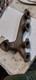 Rover P4 80 Exhaust Manifold 4 Cylinder Land Rover Series 1